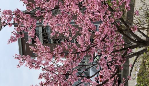 ◆桜の季節に楽しめる粋な紳士ファッション◆