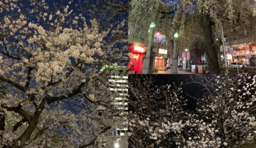 ◆満開の夜桜見物にはイタリアン紳士スタイルが粋◆